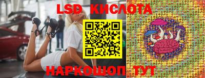 гидропоника Будённовск