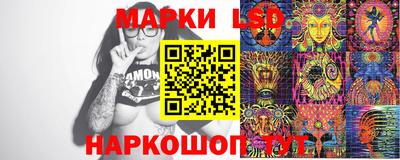 гидропоника Будённовск