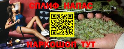 гидропоника Будённовск