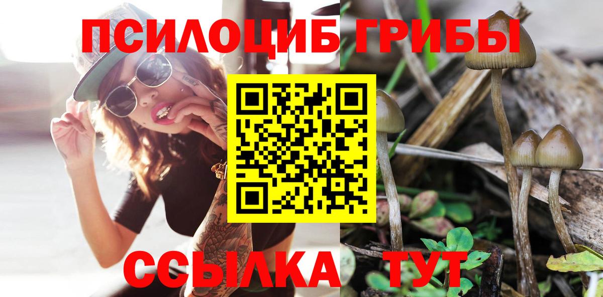 Псилоцибиновые грибы Psilocybine cubensis  Вход с VPN  Псилоцибиновые грибы прущие грибы  Симферополь 