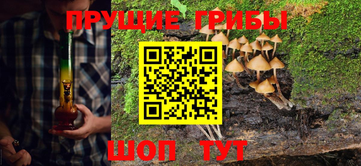 Галлюциногенные грибы GOLDEN TEACHER Симферополь